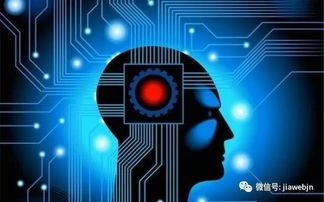 同質化格局下，AI能否引爆智能手機行業創新？——人工智能應用軟件開發的挑戰與機遇